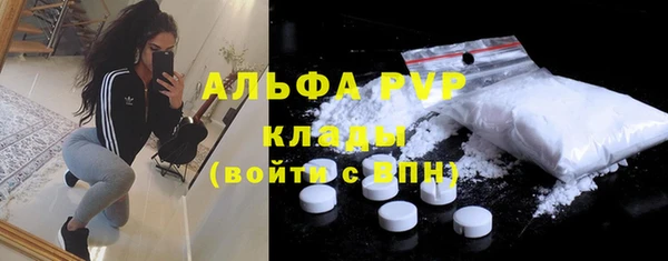 стаф Абинск