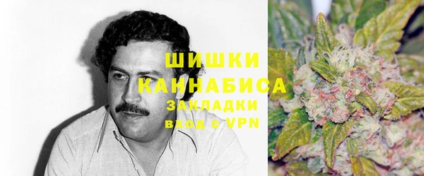 стаф Абинск