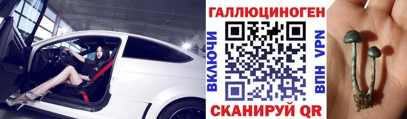 Псилоцибиновые грибы мухоморы  ОМГ ОМГ зеркало  Мамадыш  купить наркоту 